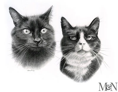 Double Cat Pet Portraits