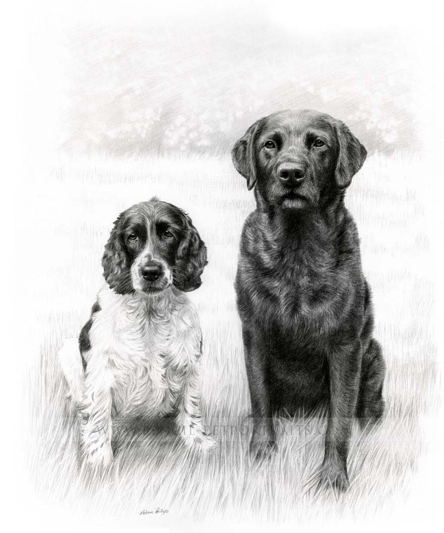 Double Dog Pet Portraits