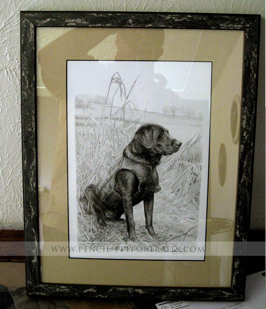 Gun Dog Pet Portraits framed