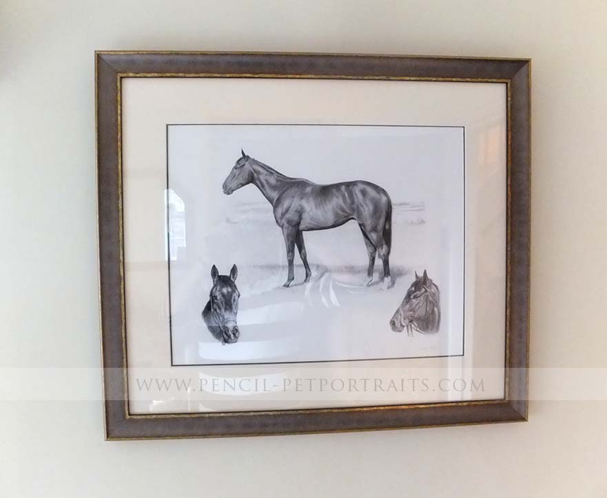 Racehorse Pet Portraits Framed