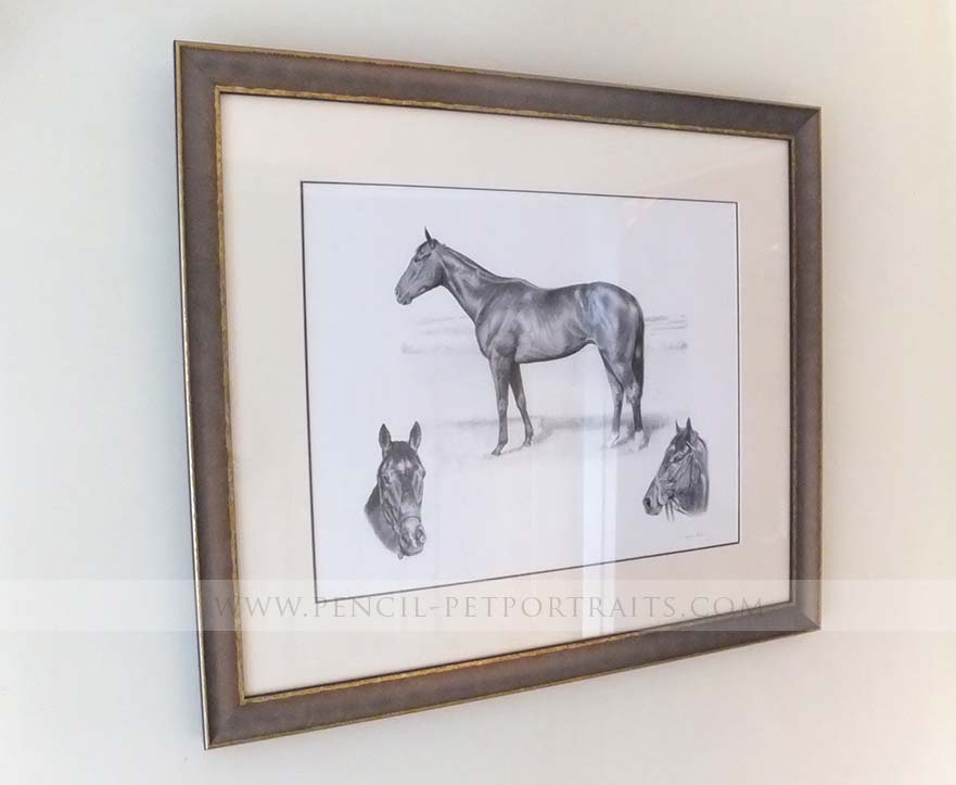 Racehorse Pet Portraits Print Framed