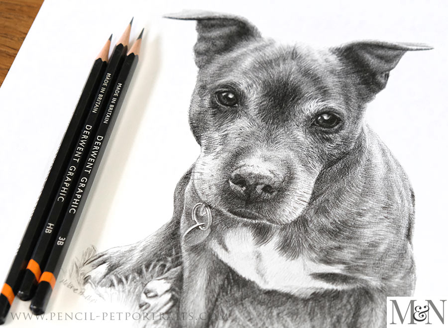 Pencil Portraits In Detail
