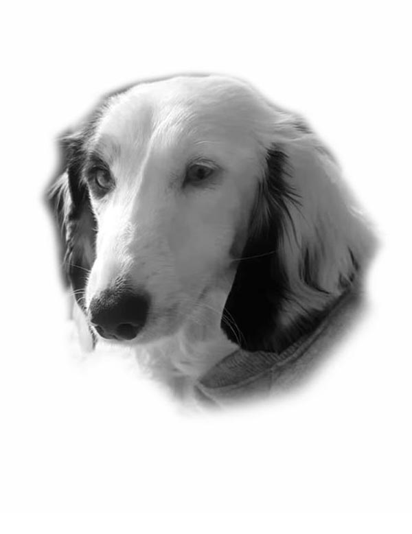 Gwen Portrait