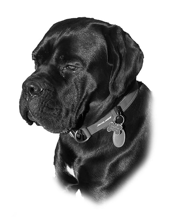 Kevin Portrait
