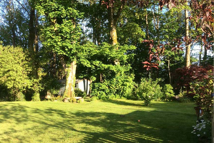 trees in the garden