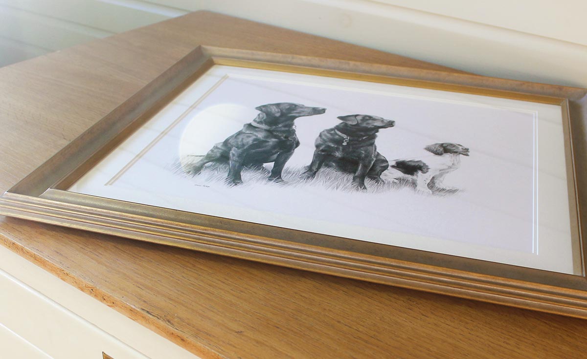 Pet Portraits in Pencil of Labradors by Melanie Phillips