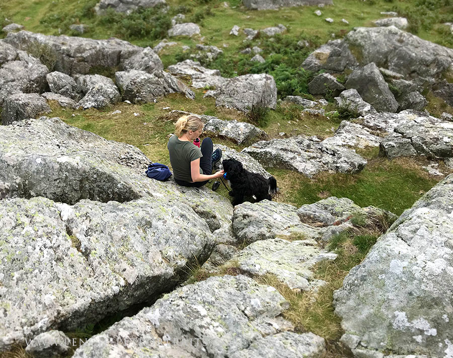 Pembrokeshire Walks