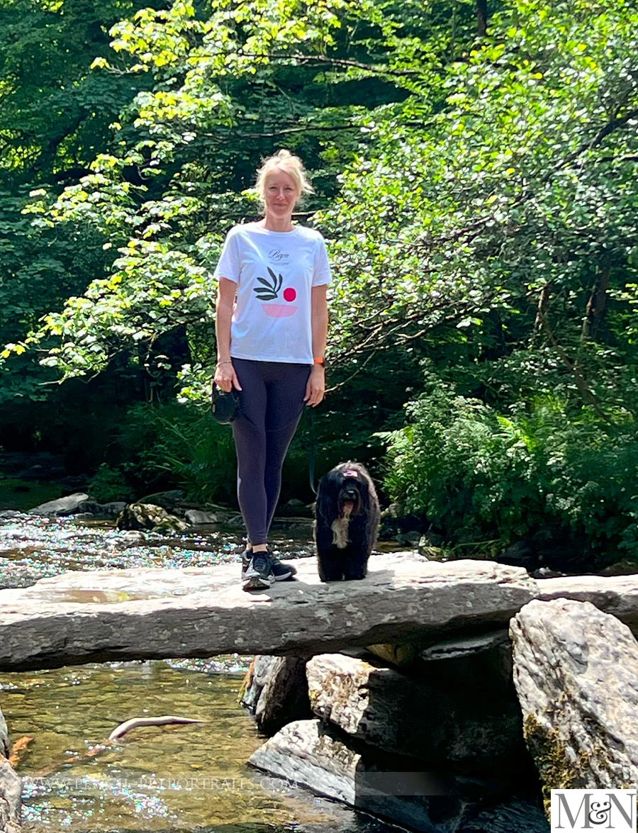Tarr Steps in Devon