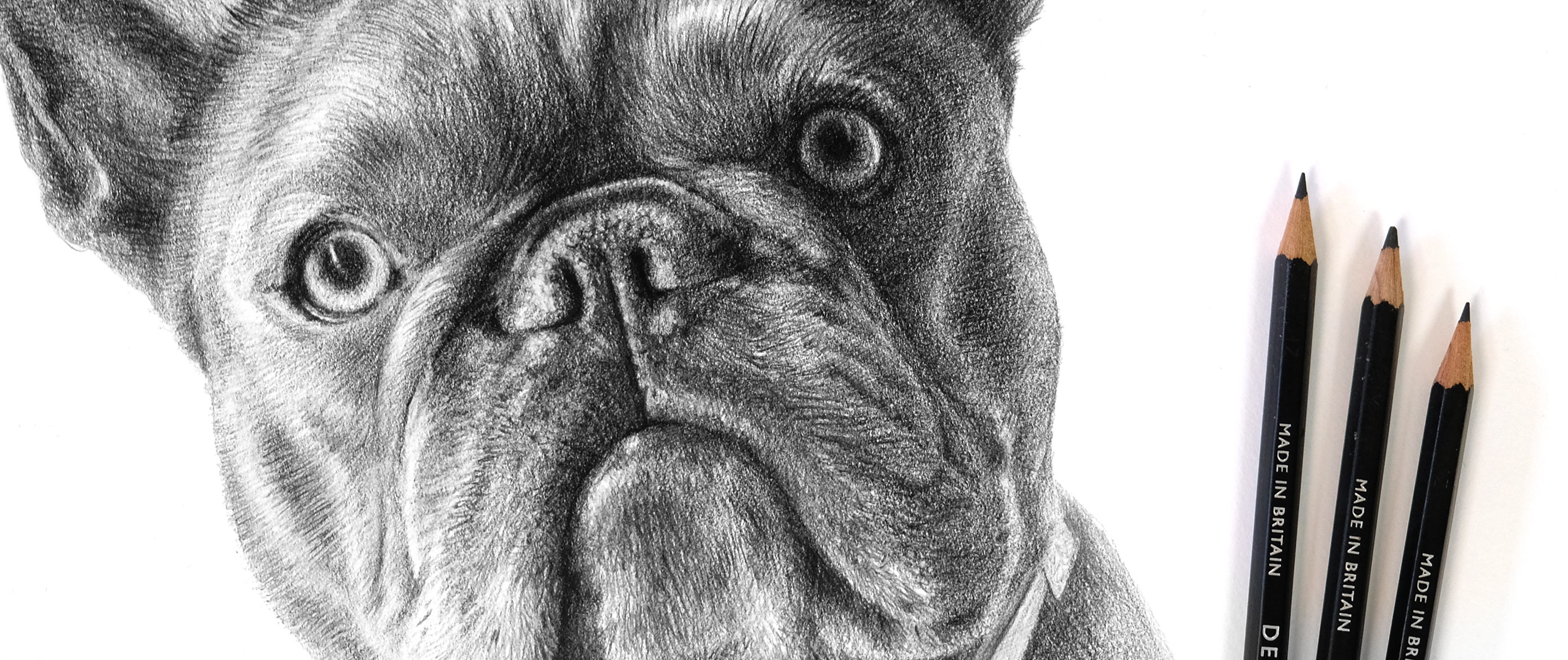 Pencil Pet Portrait Commissons