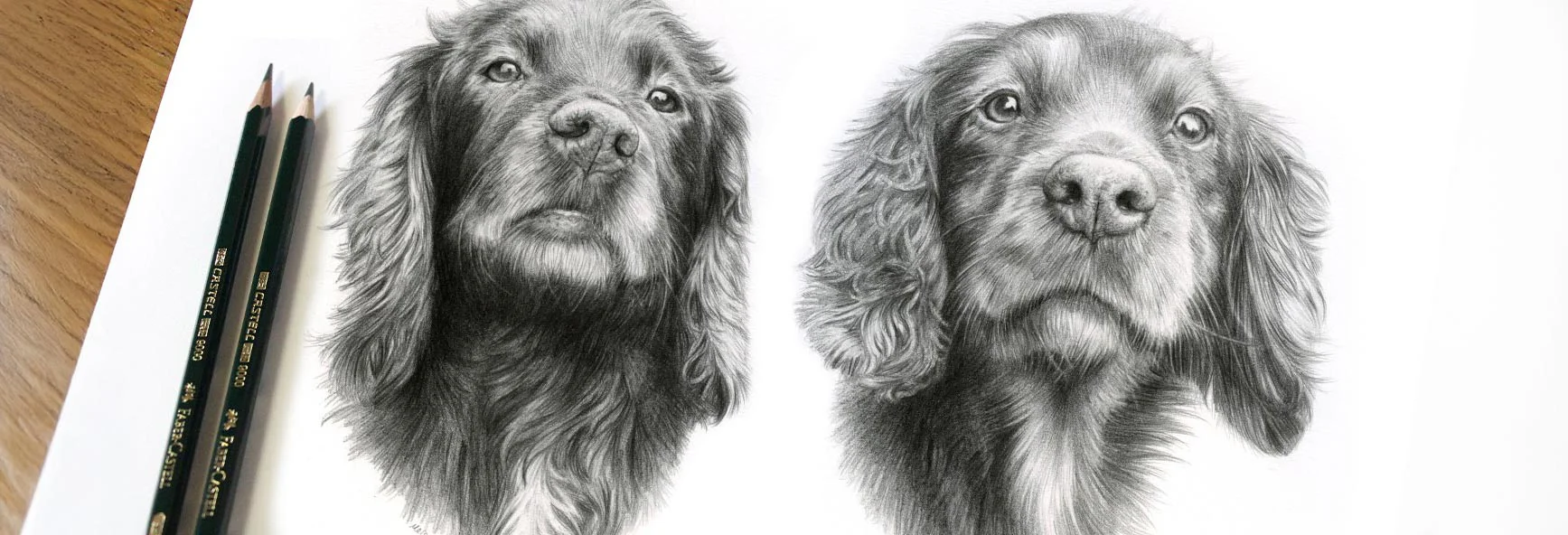 Pet Portraits by Melanie Phillips