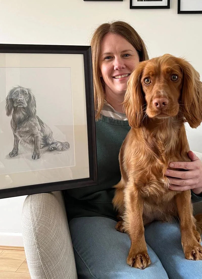 Classic drawings of dogs, cats, and horses.