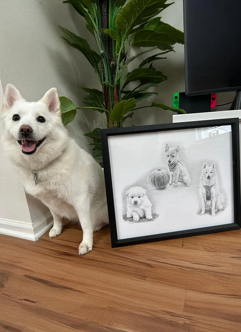 Classic montage of dogs, cats, and horses.
