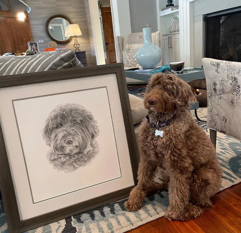 Pet Portraits in Pencil by Melanie Phillips