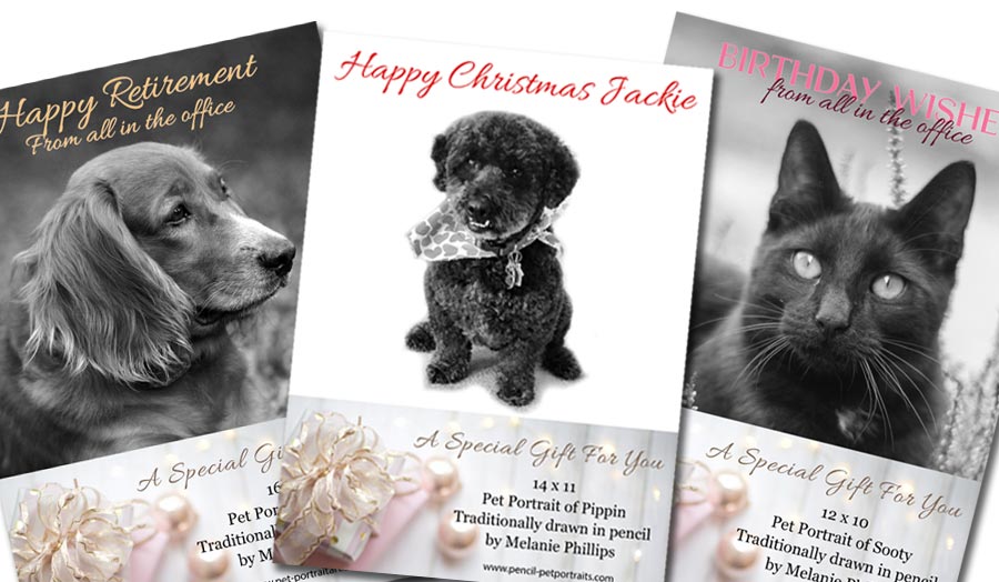 Pet Portraits Gift Vouchers