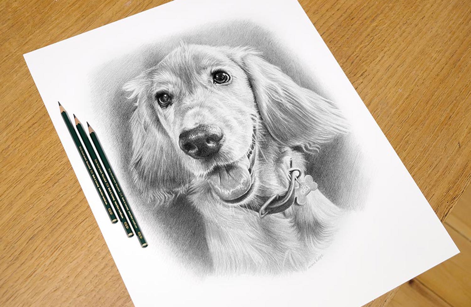 pet portraits pencils