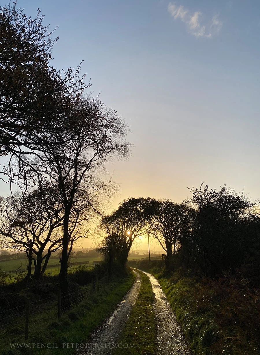 A walk in West Wales