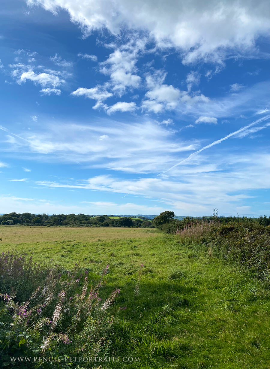 West Wales Field View