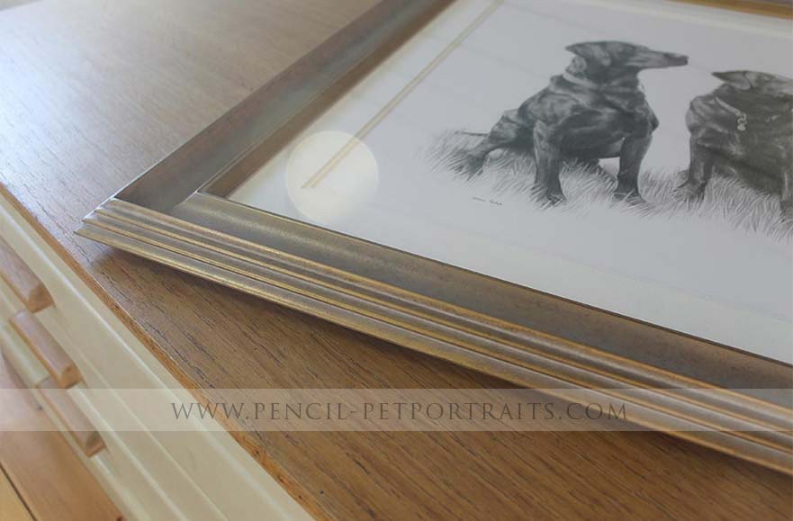 Framed Labrador pet portrait in pencil