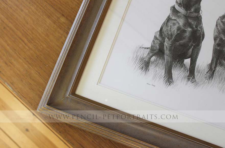 Pet Portrait Framed