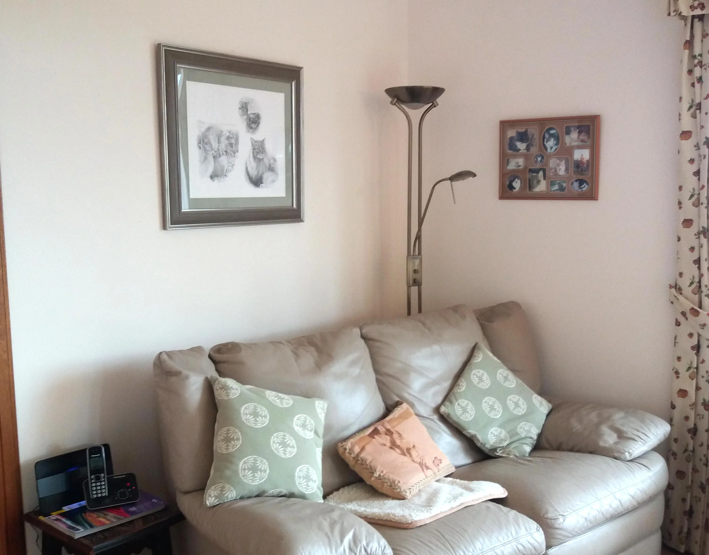 Cat Portrait in Situ