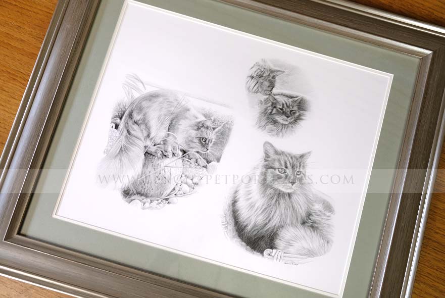 Framed Cat Portrait