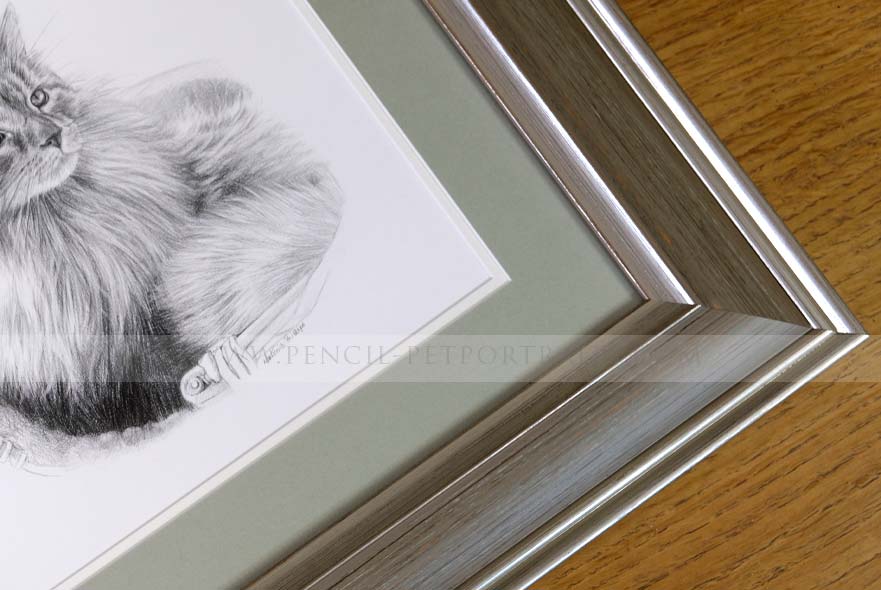 Framed Cat Portrait
