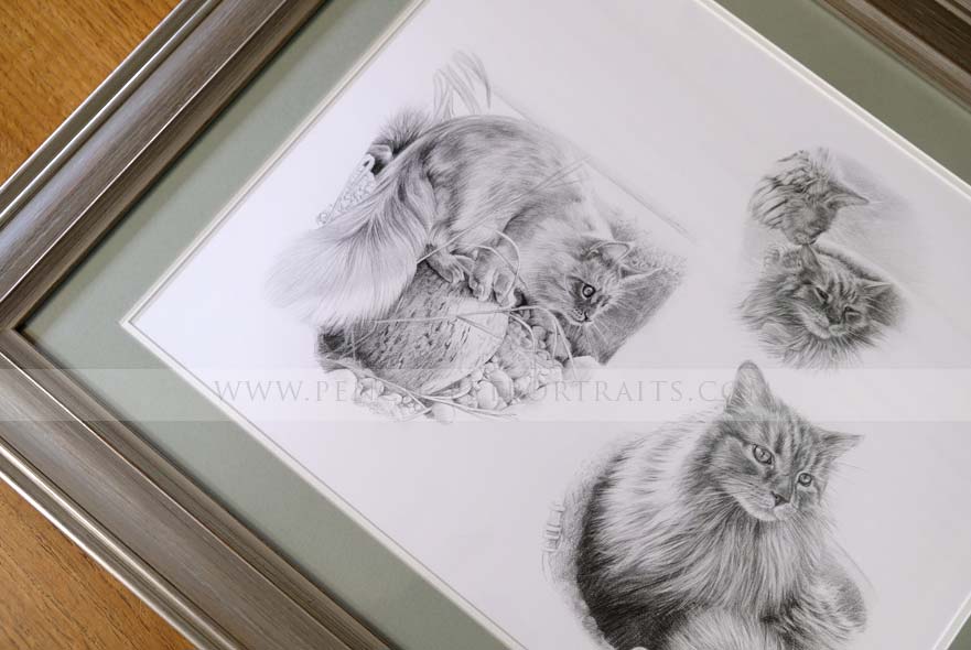 Framed Cat Portrait