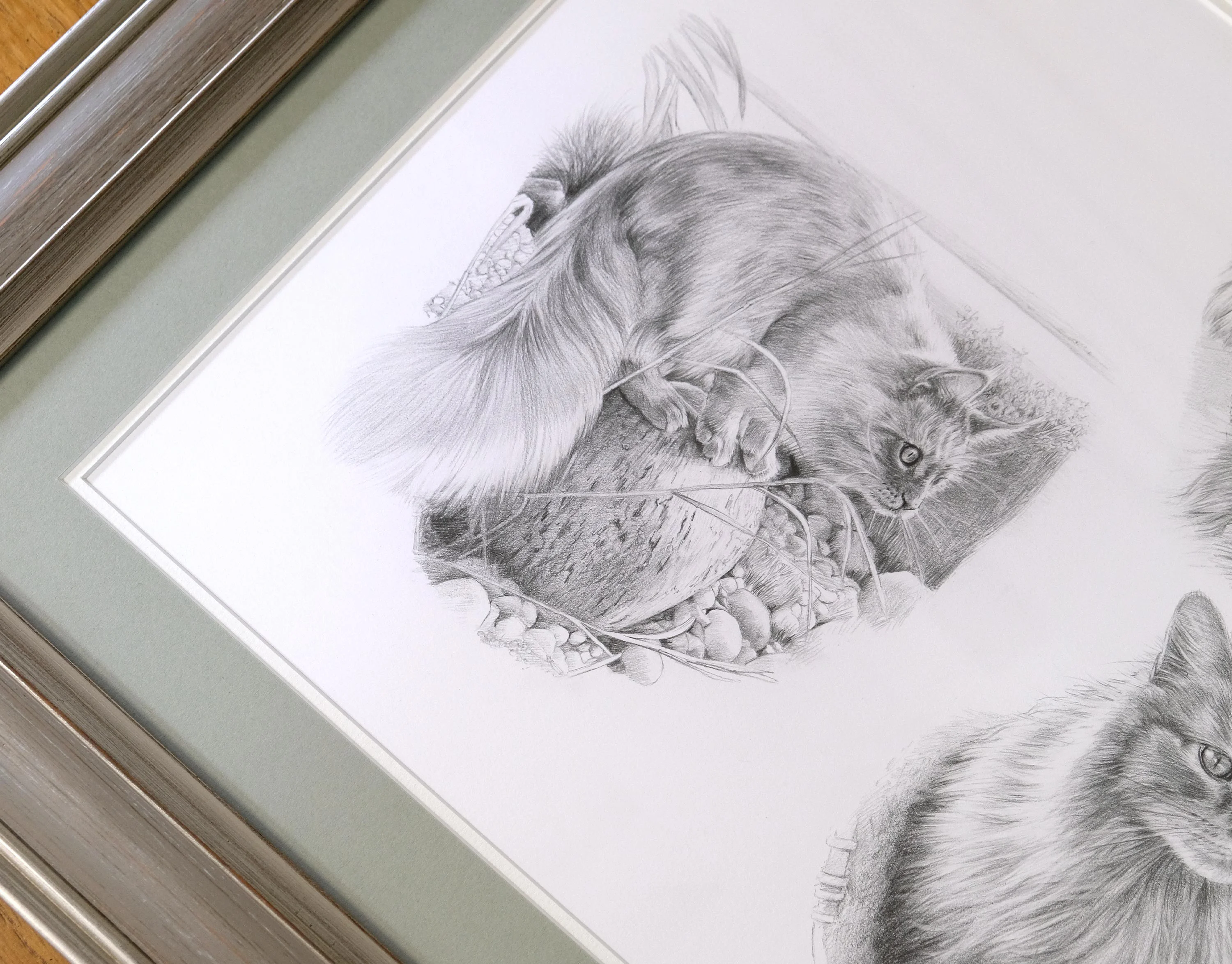 Framed Cat Portrait
