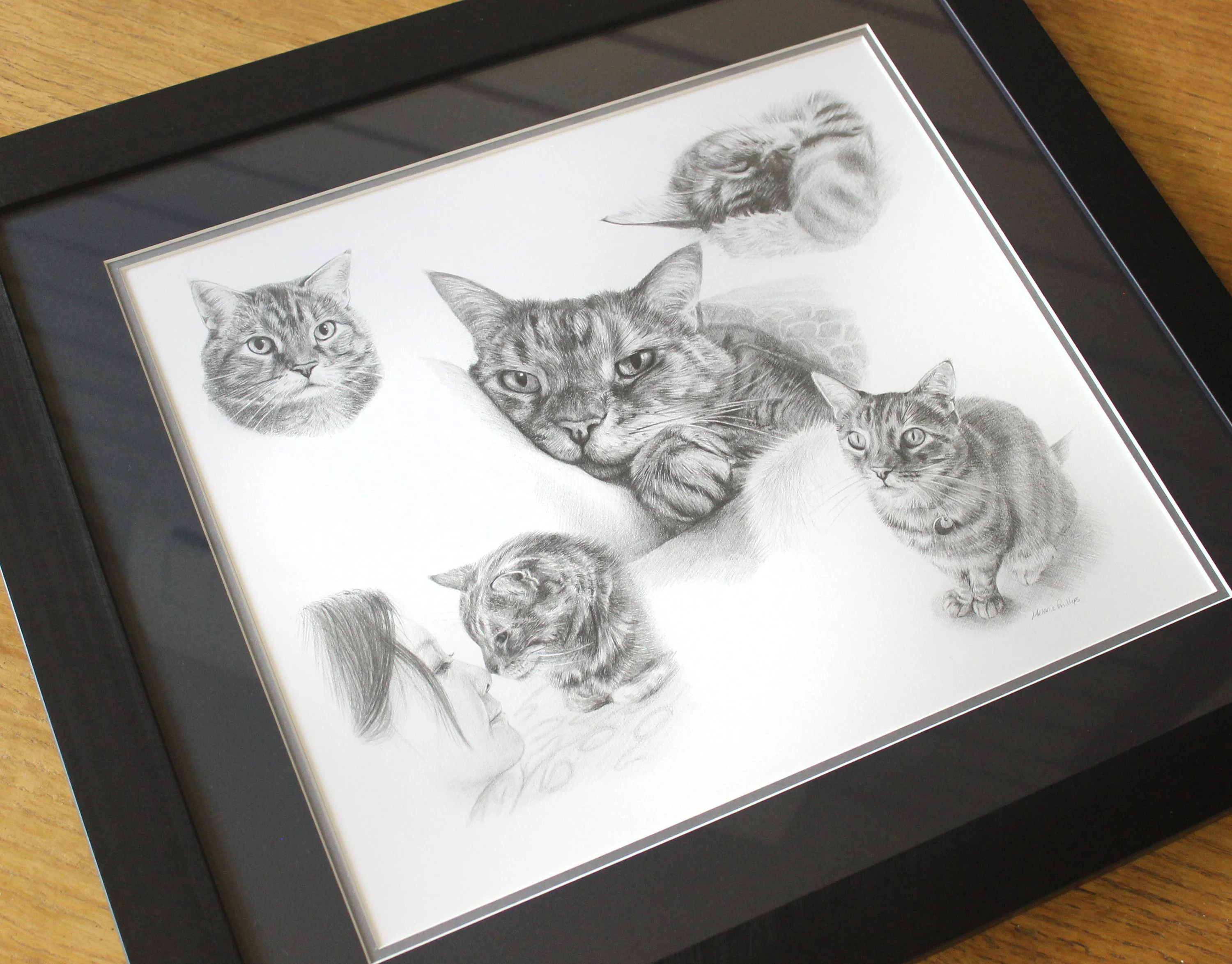 Cat Montage by Melanie Phillips