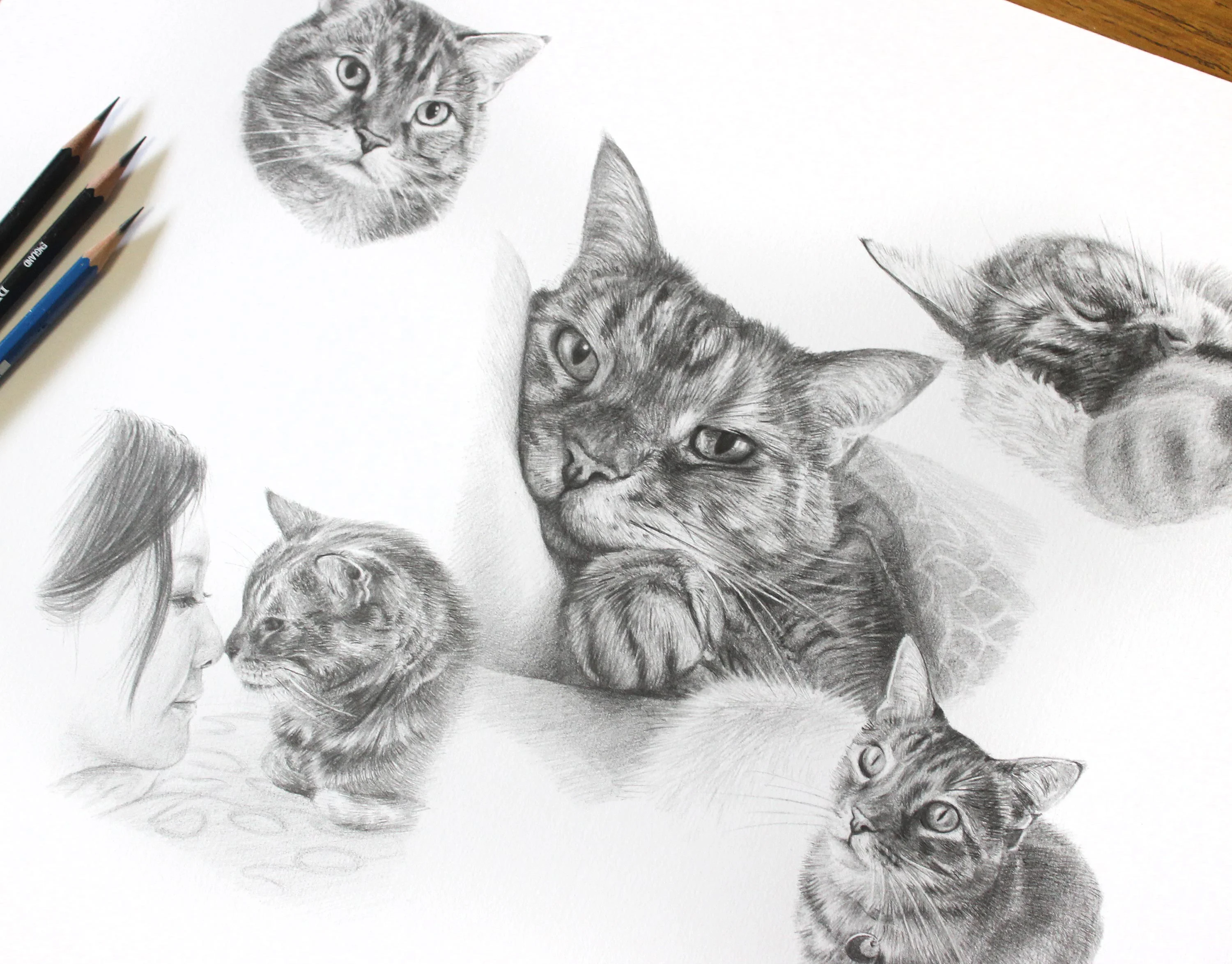 Cat Pet Portraits Framed