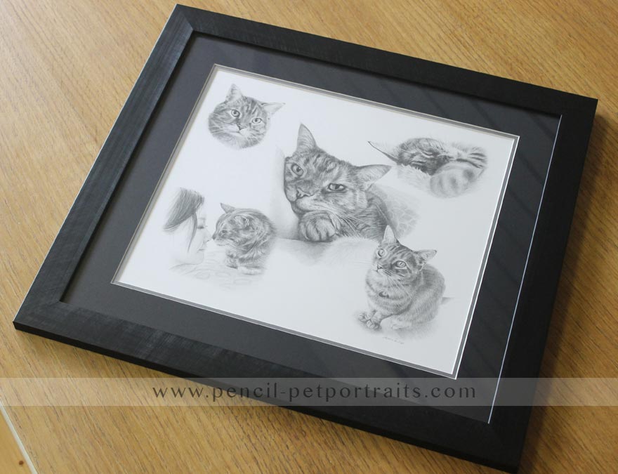 Framed Cat Portrait