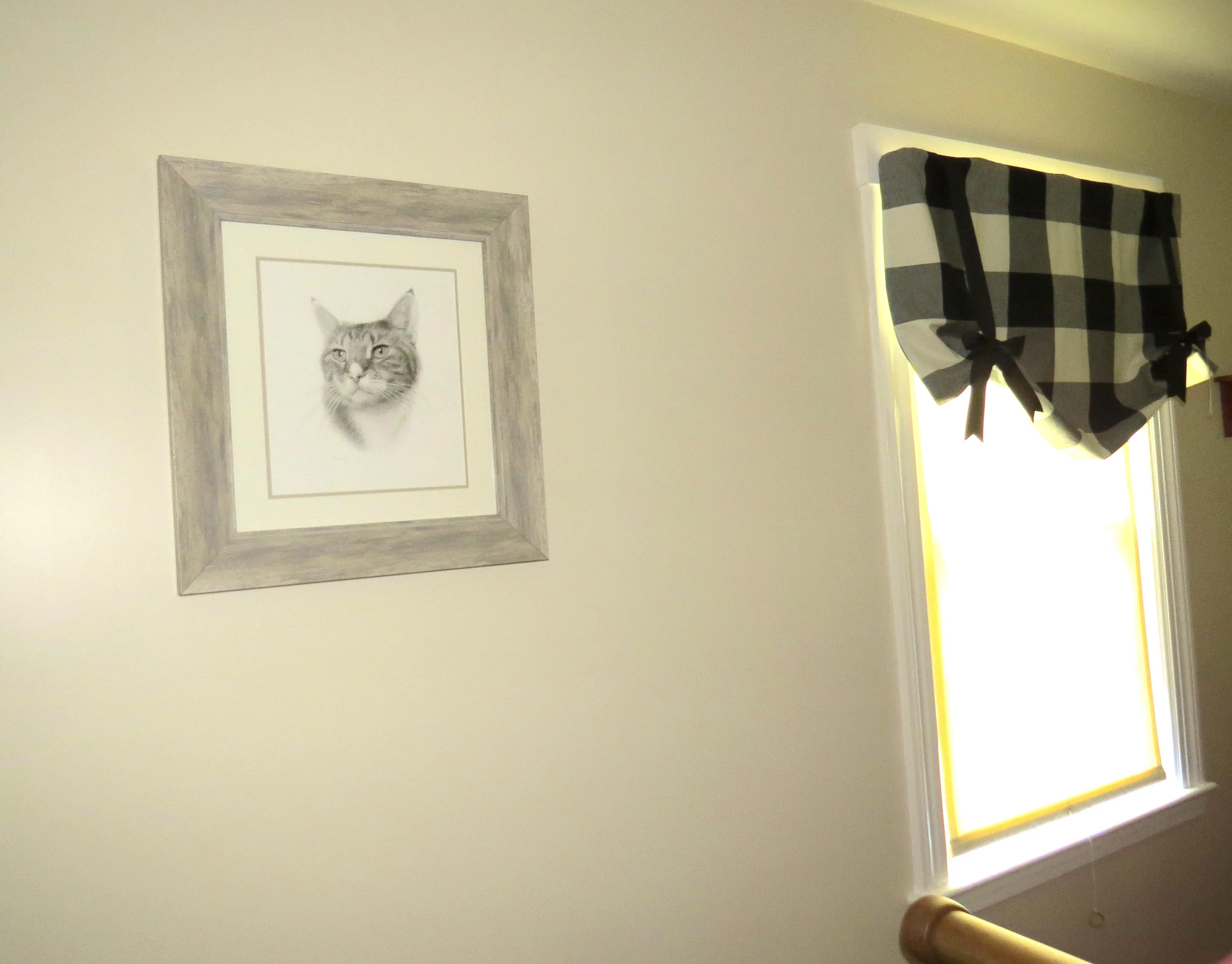 cat pet portrait