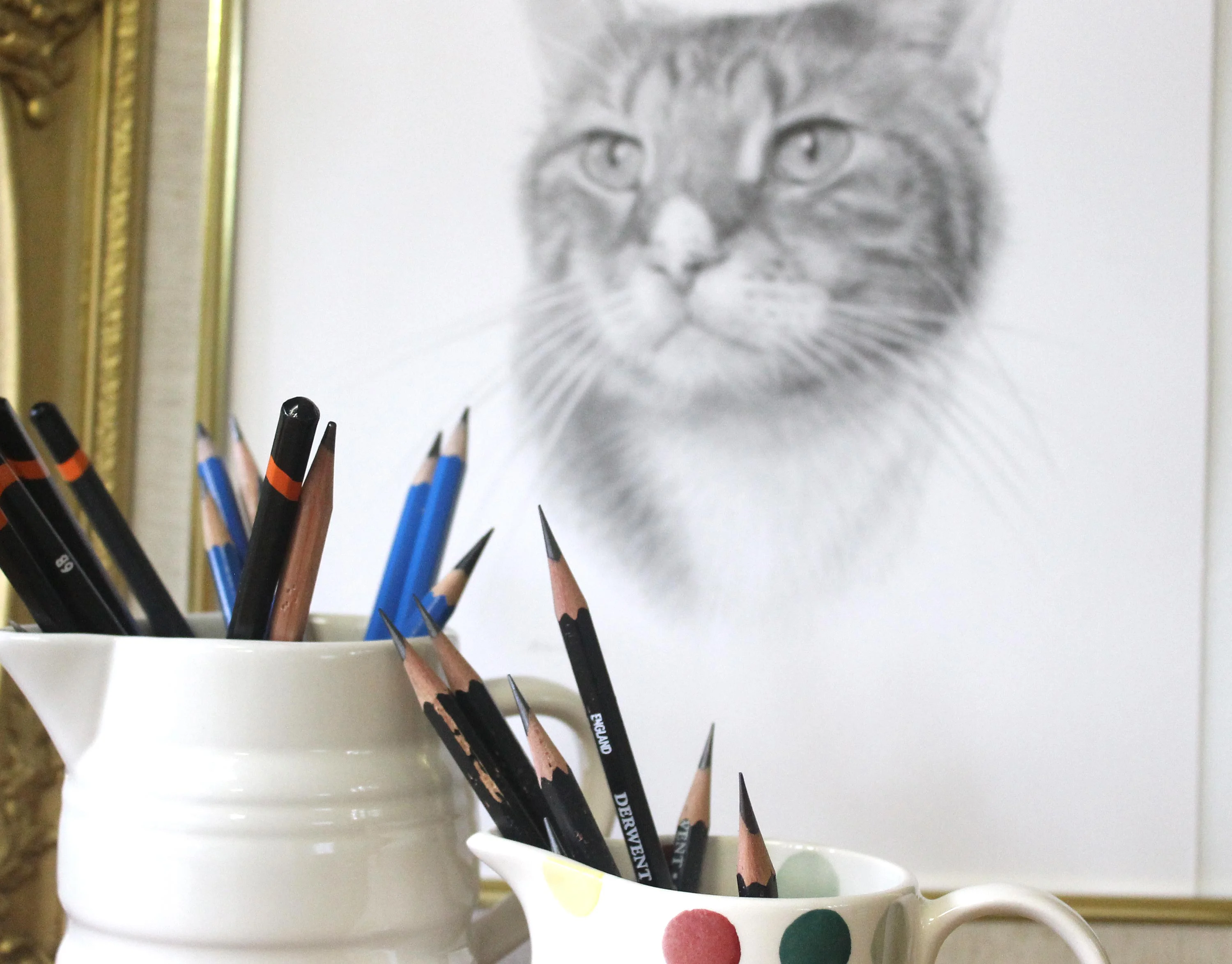 cat pet portrait
