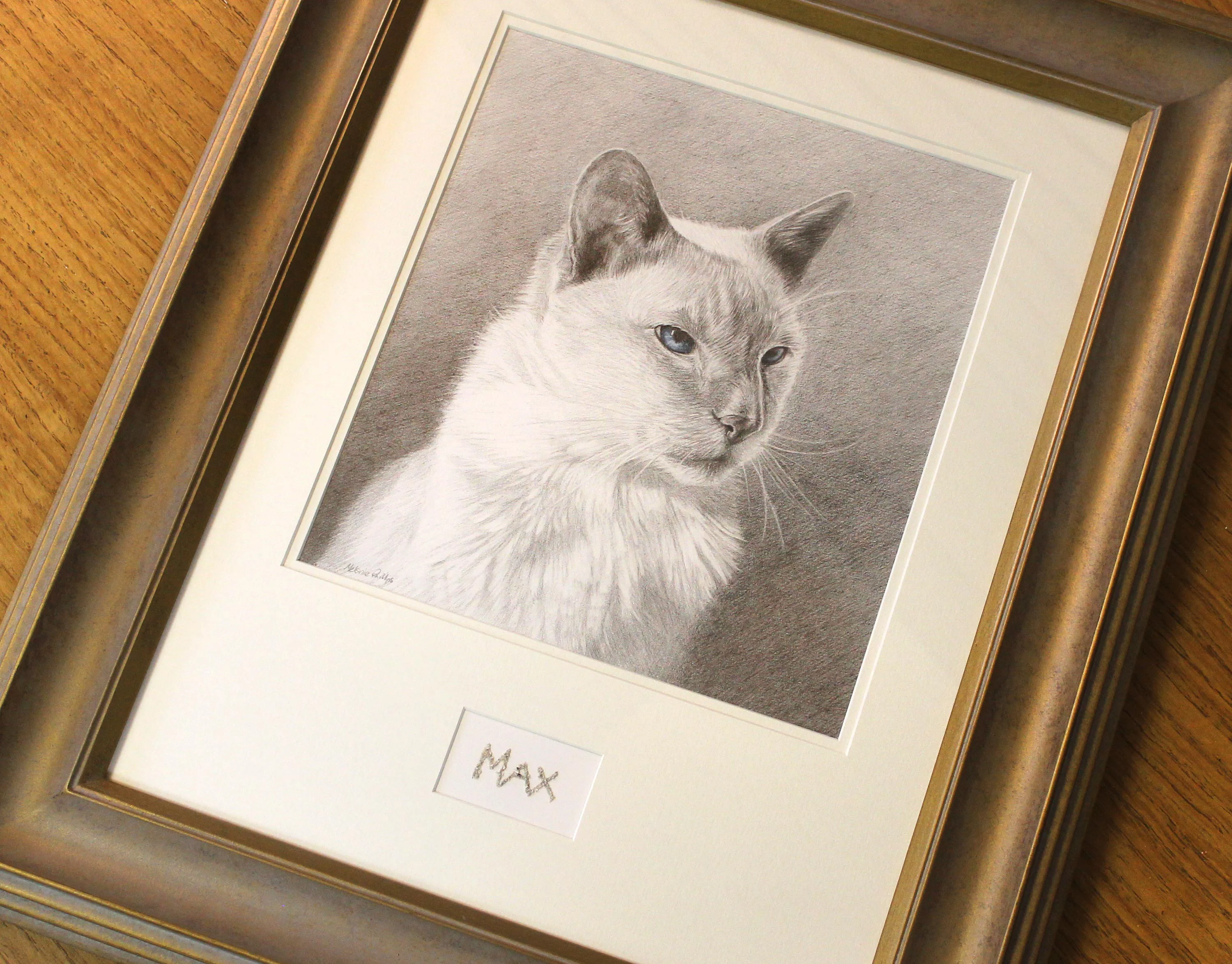 cat portraits