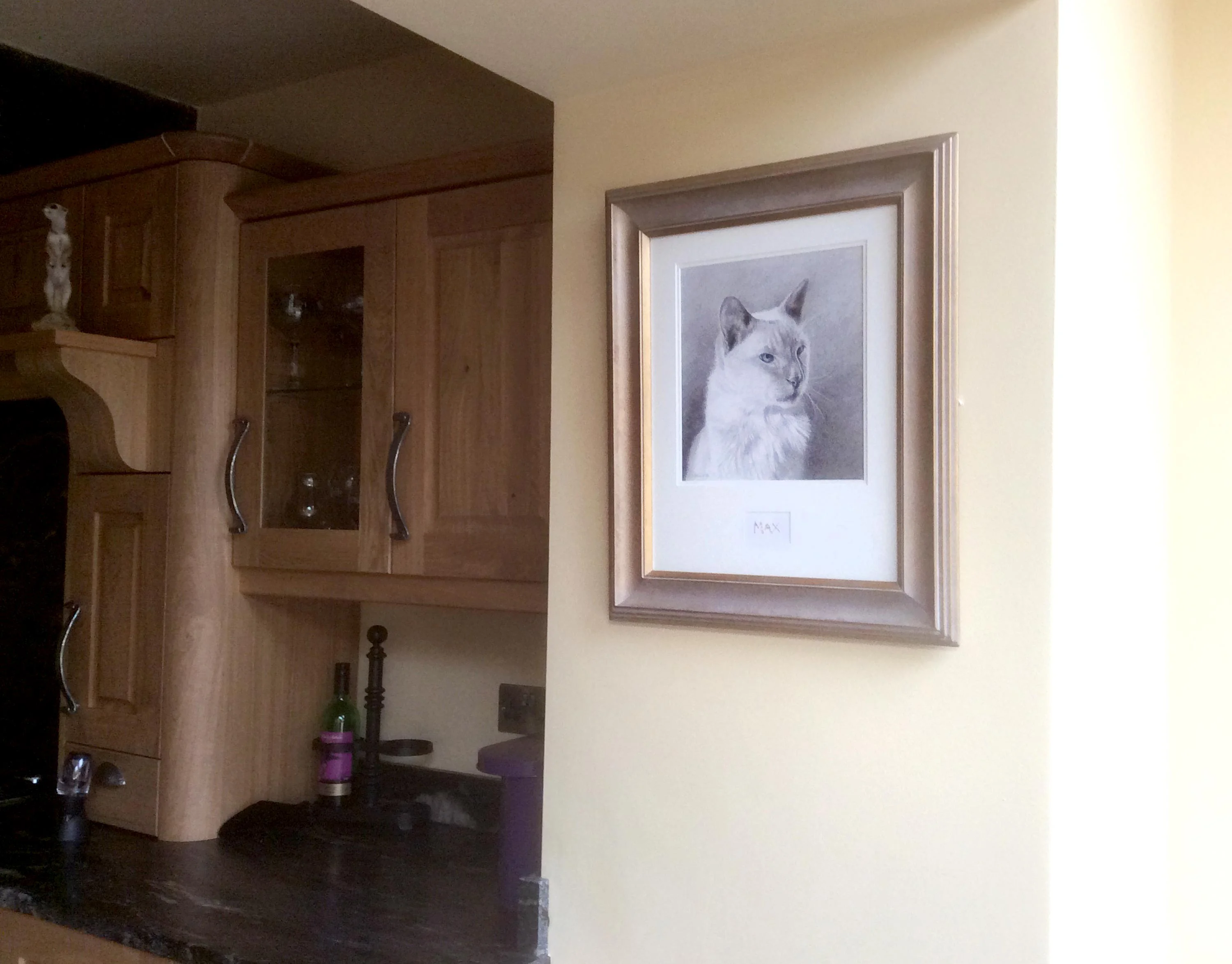 cat portraits