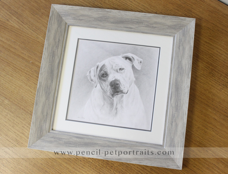 Dog Portraits Framed