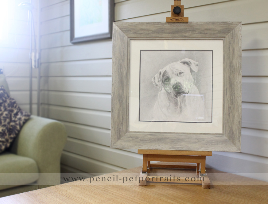 Dog Portraits Framed