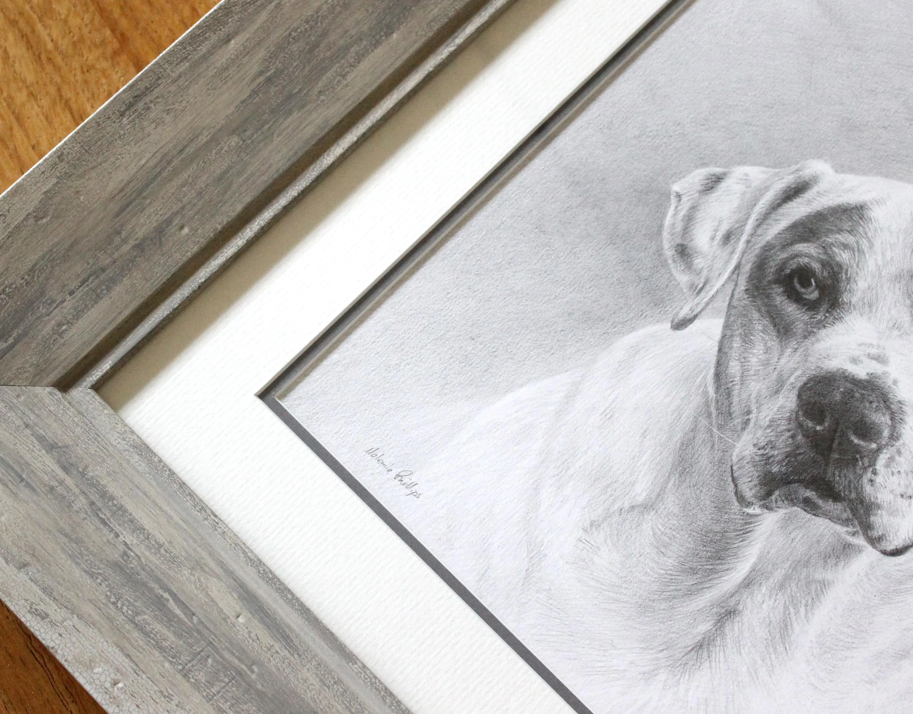 Dog Portraits Framed