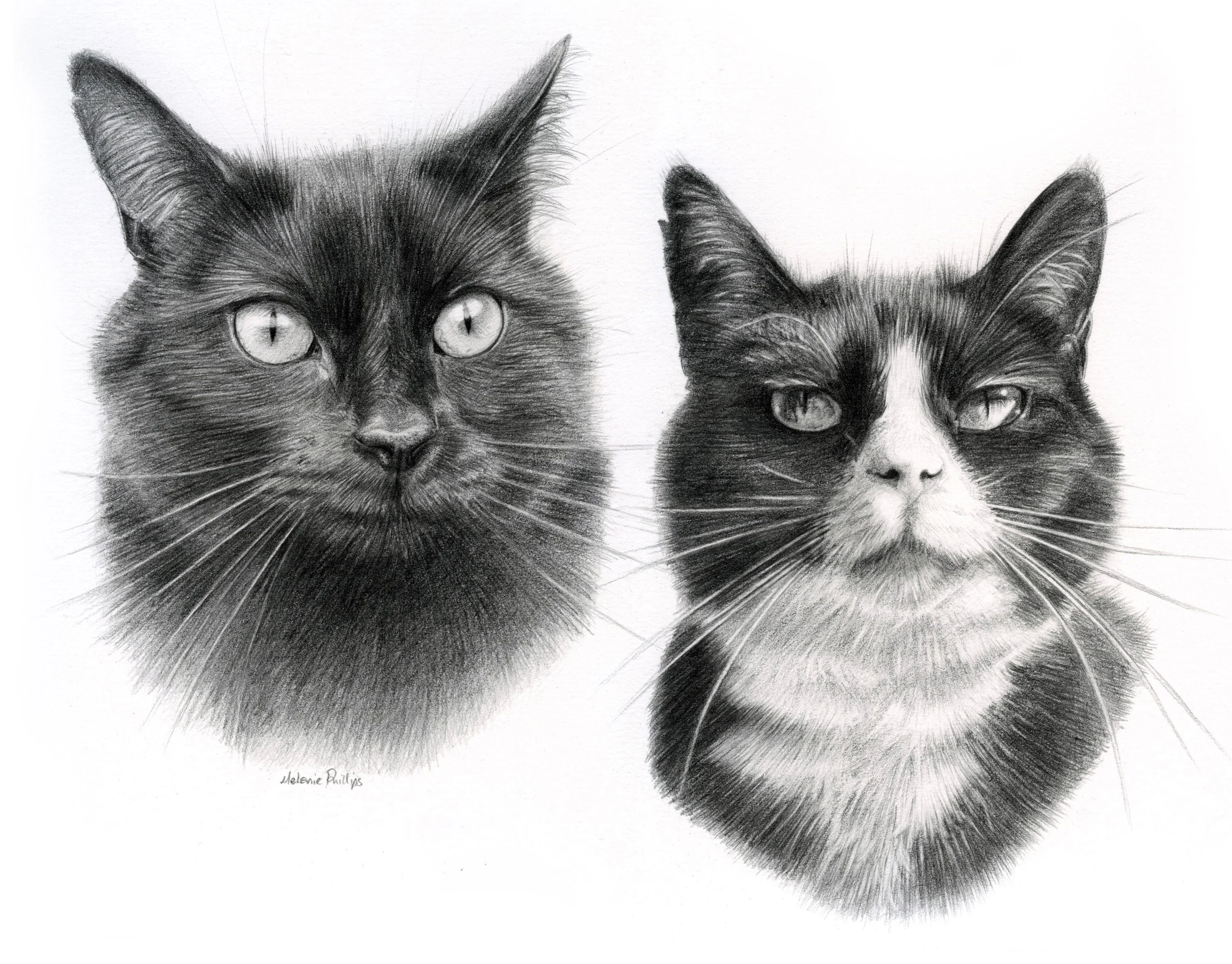 Reference photo