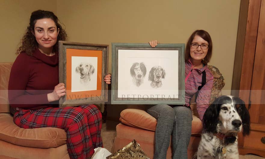 English Setter Portraits