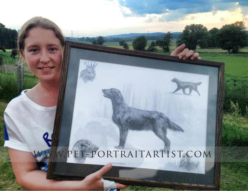 Flat Coated Retriever Pet Portraits Happy Client