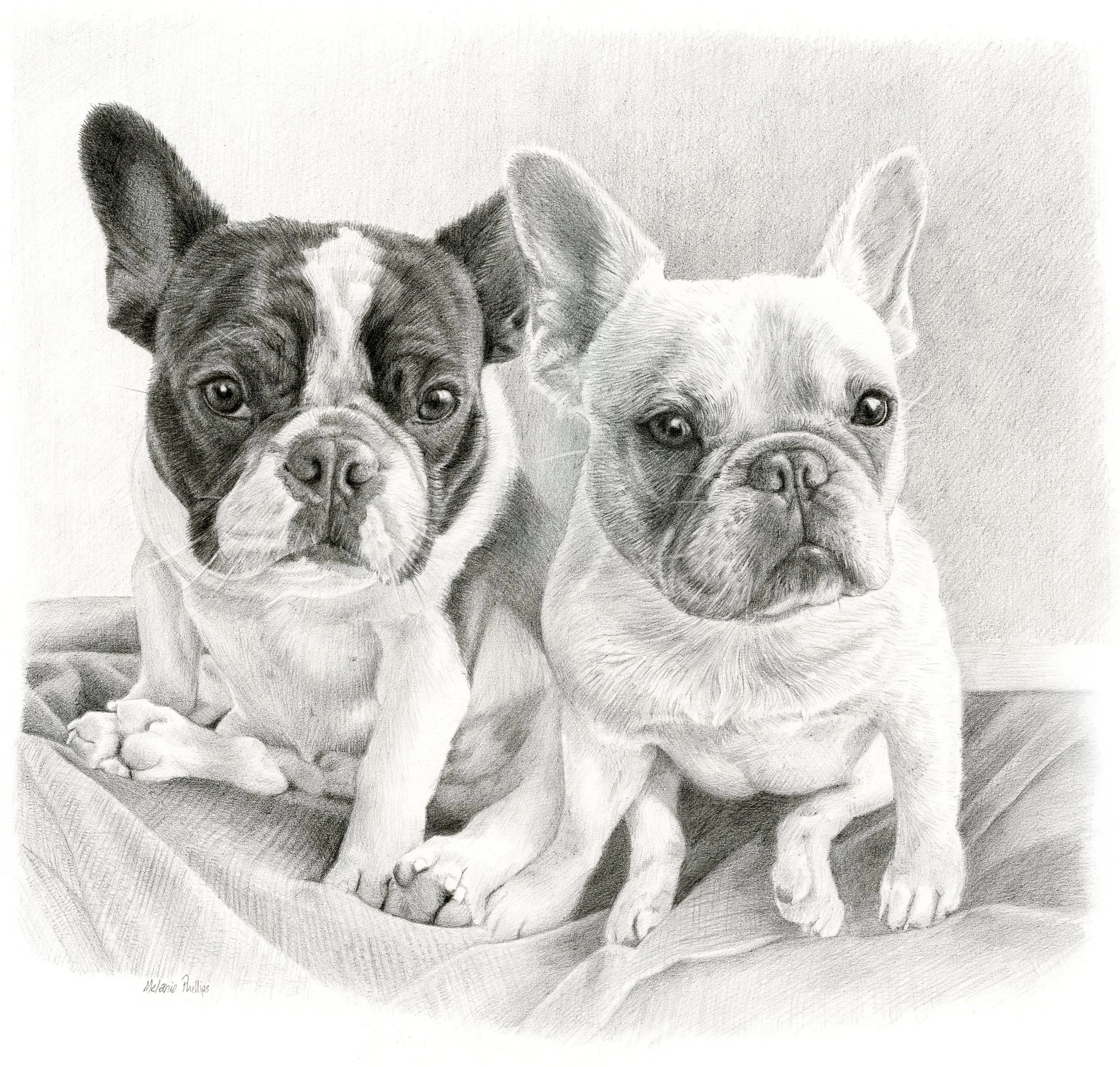 Pencil Portraits Reference Photos