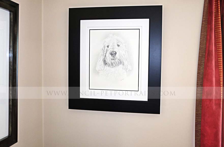 Grand Basset Griffon Vendeen pencil pet portrait