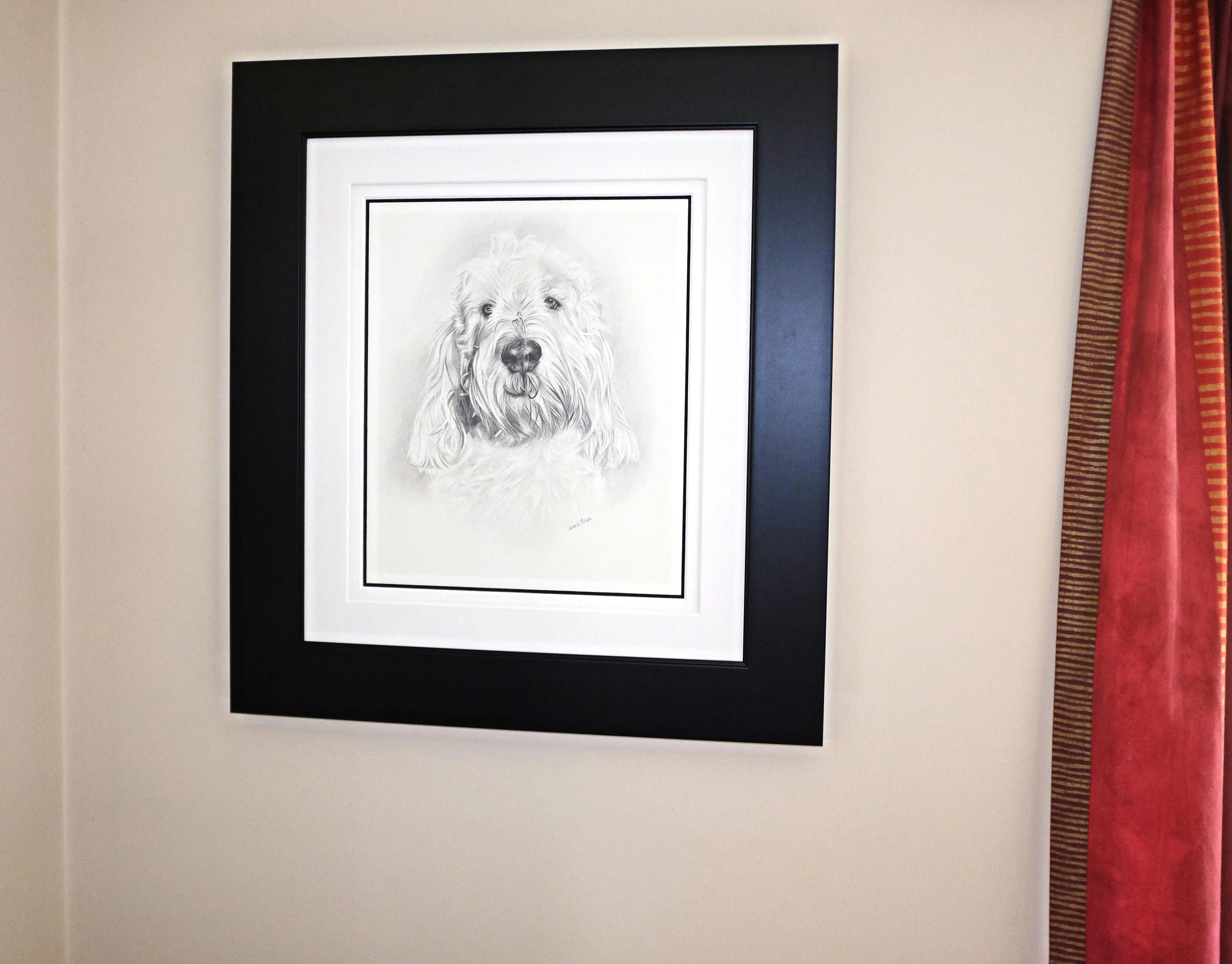 Grand Basset Griffon Vendeen pencil pet portrait