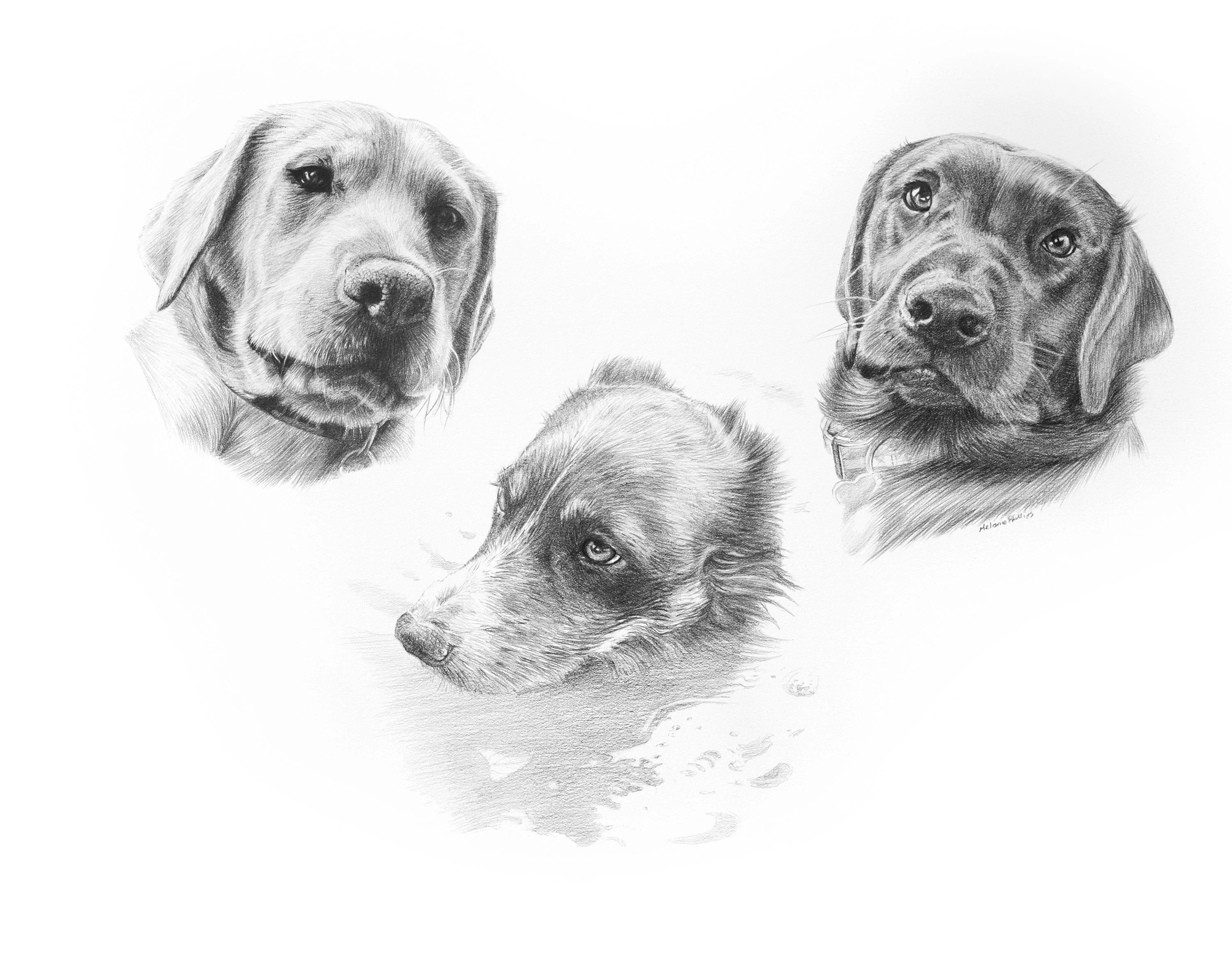 Pencil portraits reference photos