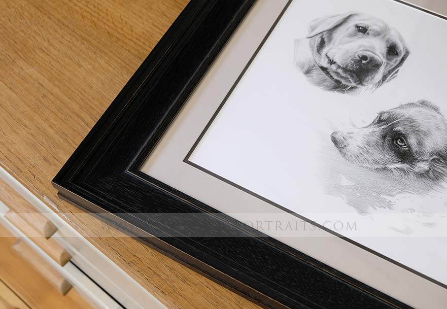 Dog Pencil Portrait