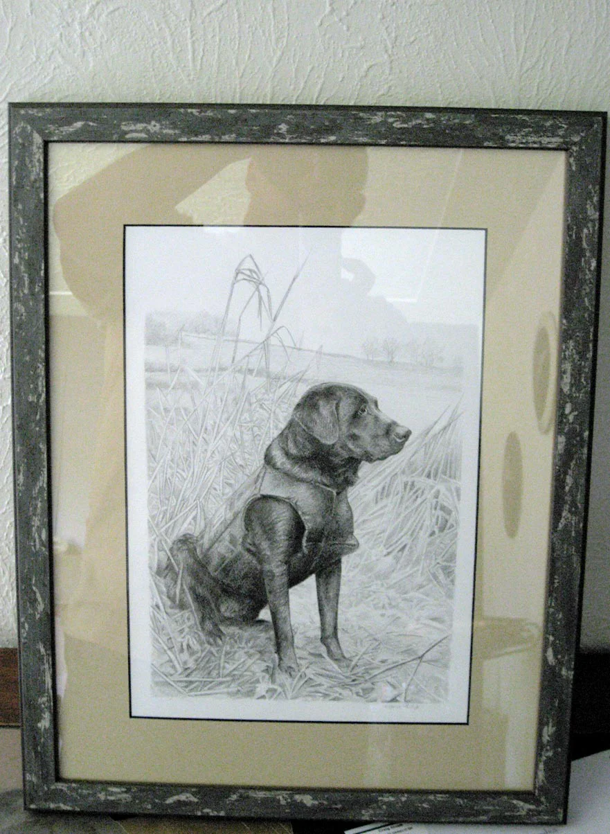 Gun Dog Pet Portraits Framed