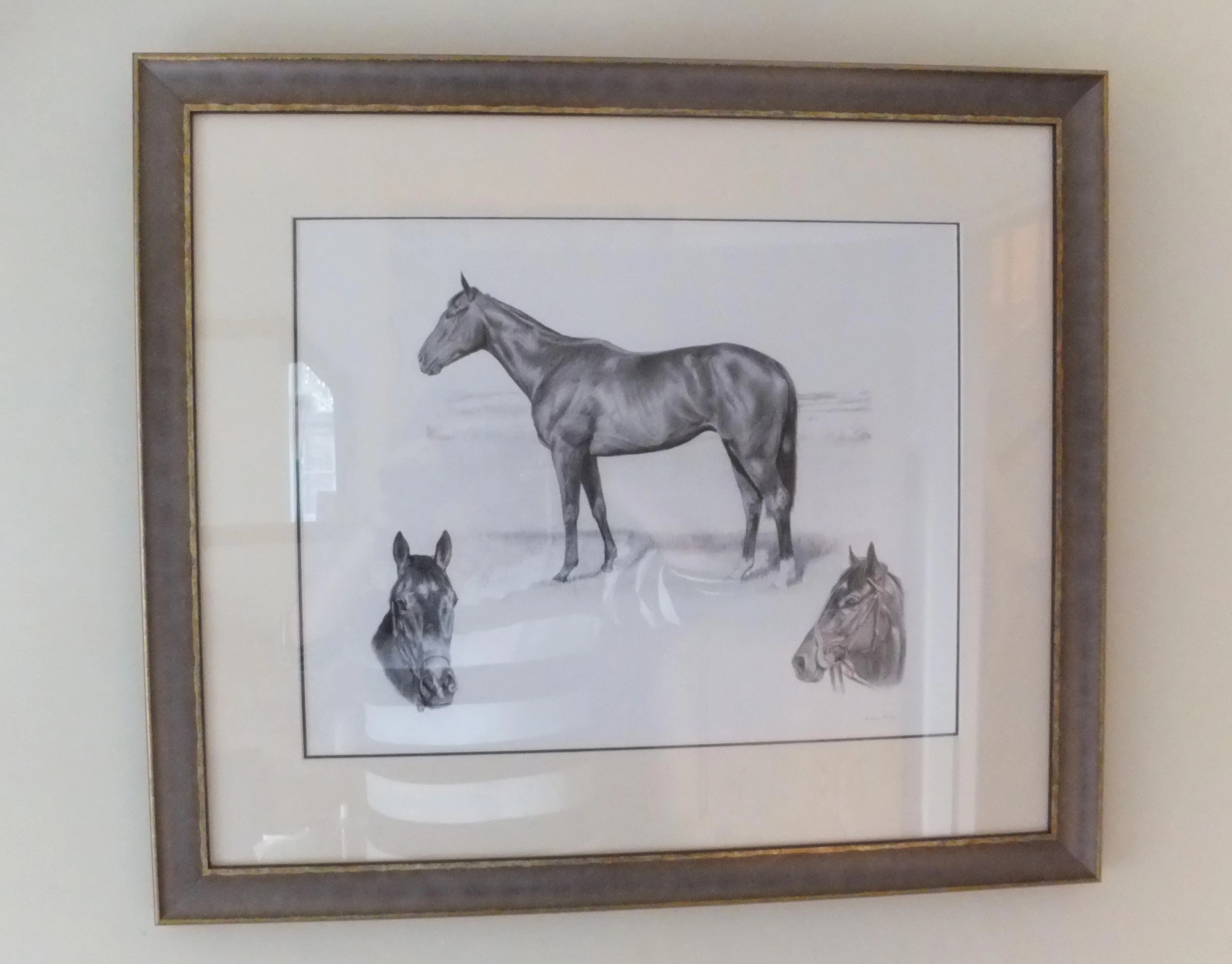 Racehorse Pet Portraits Framed