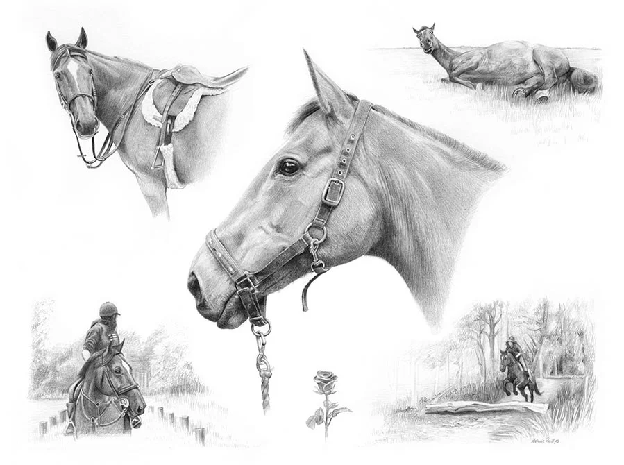 Pencil Montage Pet Portraits