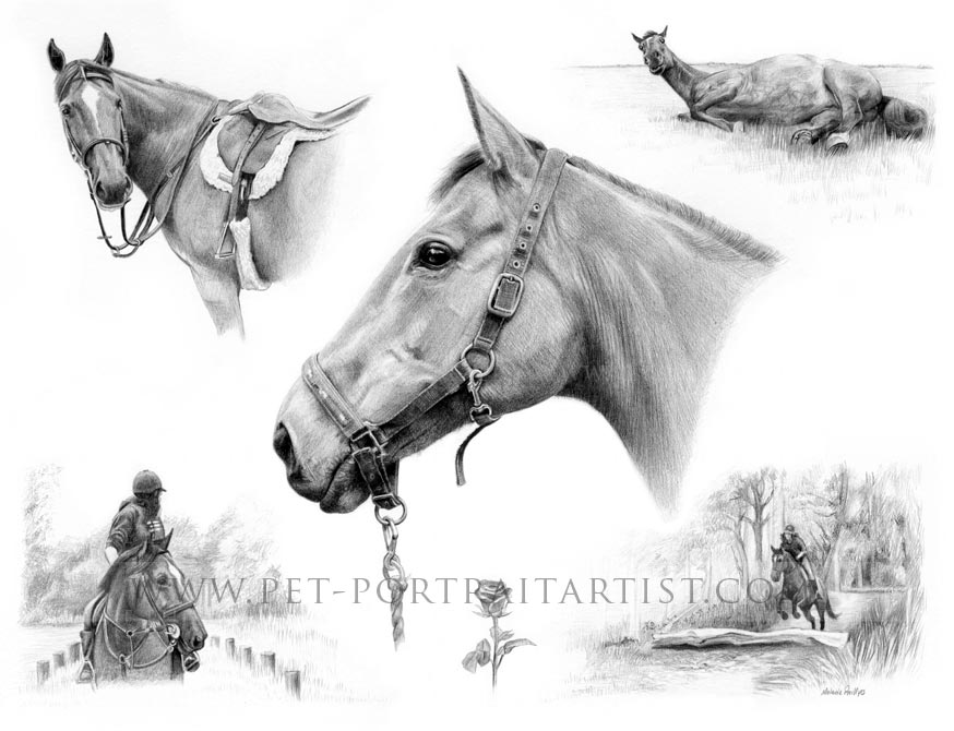 Montage Pet Portraits